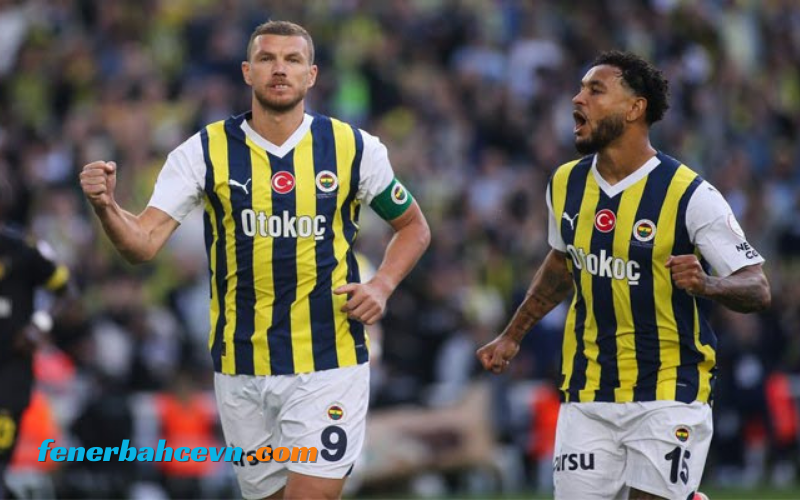 Fener 