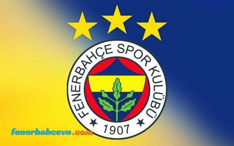 Giới thiệu Fenerbahce