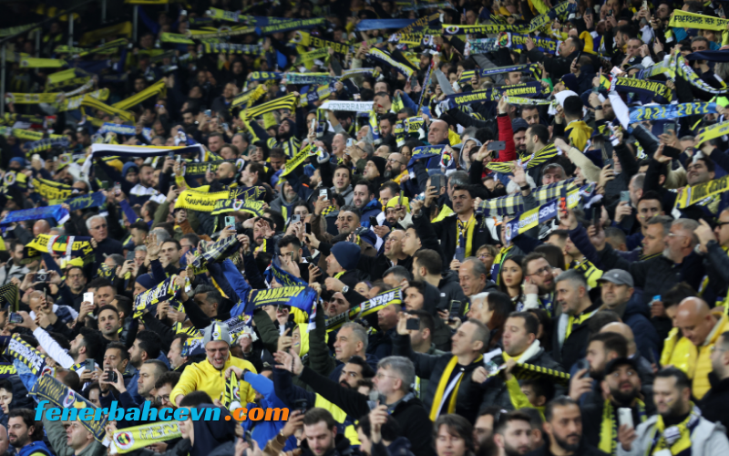 Thông tin Fenerbahce