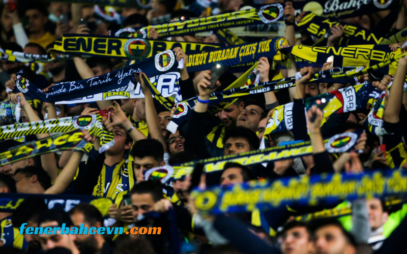 Tiểu sử Fenerbahce