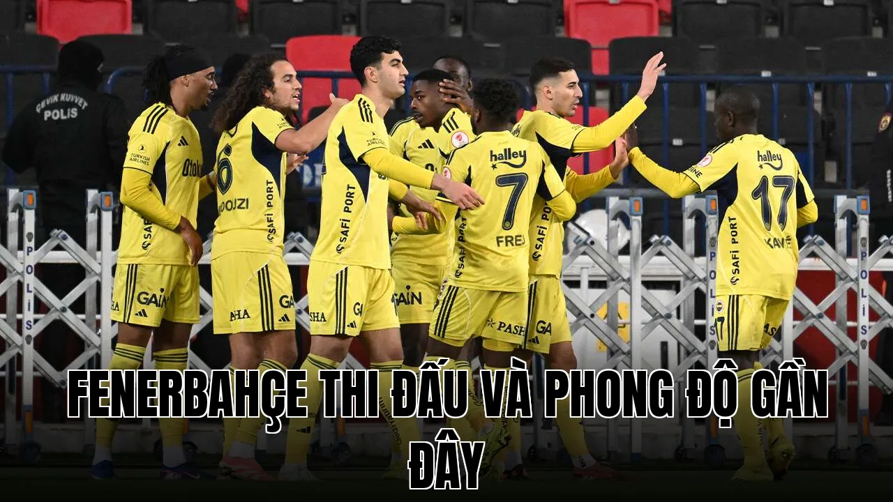 Fenerbahçe thi đấu và phong độ gần đây