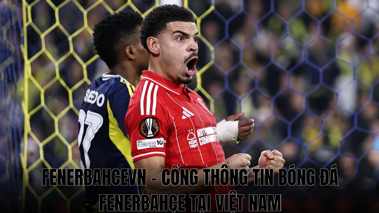 FenerbahceVN - Cổng Thông Tin Bóng Đá Fenerbahçe Tại Việt Nam