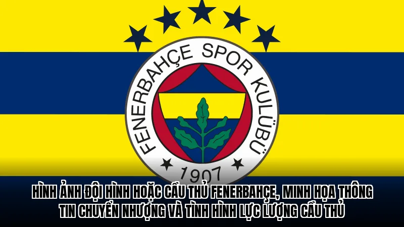 Hình ảnh đội hình hoặc cầu thủ Fenerbahçe, minh họa thông tin chuyển nhượng và tình hình lực lượng cầu thủ