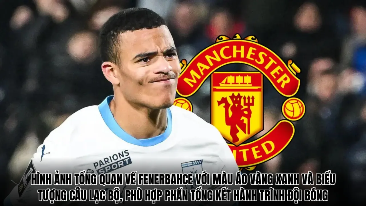 Hình ảnh tổng quan về Fenerbahce với màu áo vàng xanh và biểu tượng câu lạc bộ, phù hợp phần tổng kết hành trình đội bóng