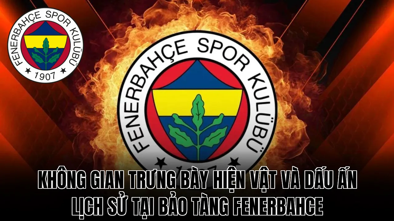 Không gian trưng bày hiện vật và dấu ấn lịch sử tại bảo tàng Fenerbahce