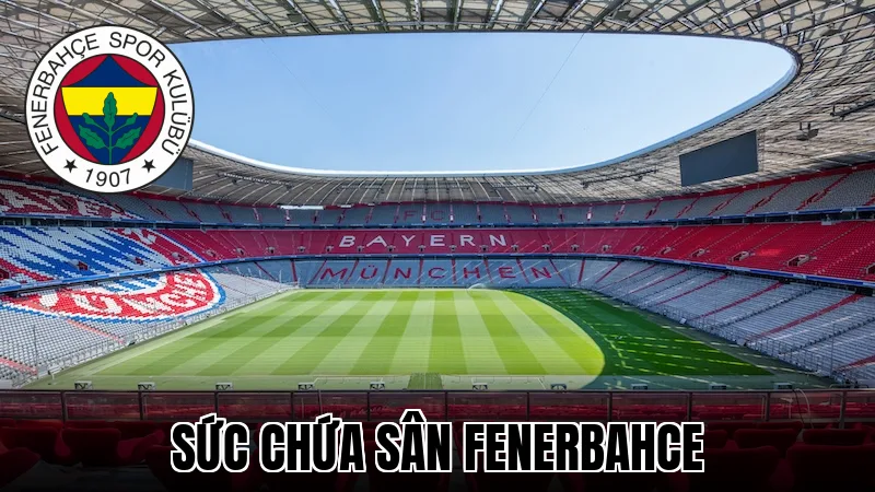 Sức Chứa Sân Fenerbahce