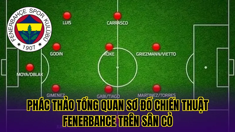 Phác thảo tổng quan sơ đồ chiến thuật Fenerbahce trên sân cỏ