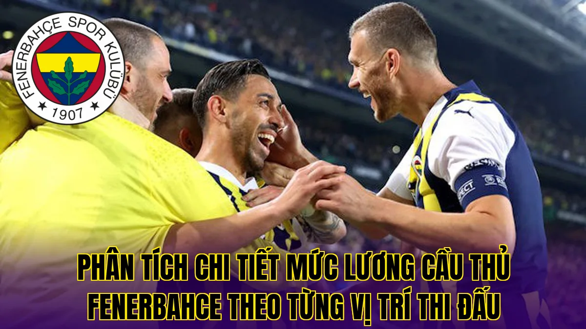 Phân tích chi tiết mức lương cầu thủ Fenerbahce theo từng vị trí thi đấu